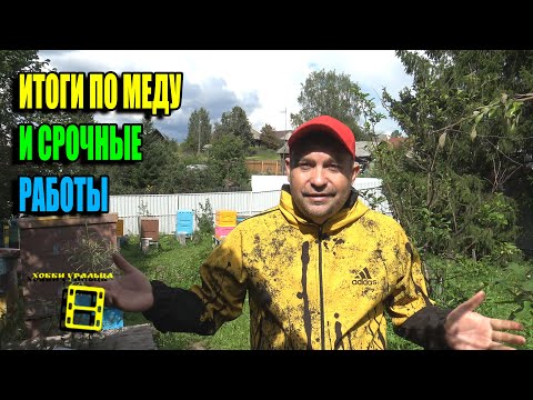 HONEY YEAR RESULTS AND URGENT WORK AFTER THE HONEY FLOW. FOR BEGINNING BEEKEEPERS 24-22