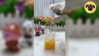 How to make healthy diet drinks by funclick