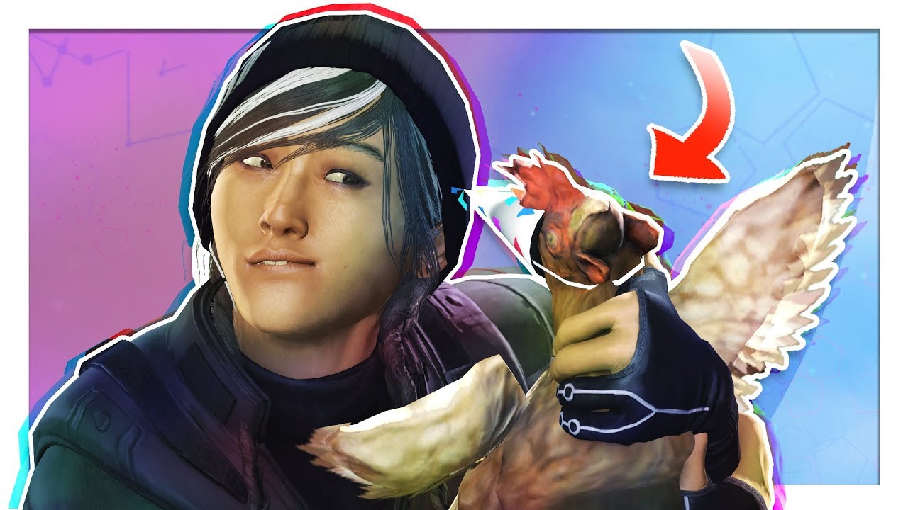 Choking the Chicken... | Rainbow Six: Siege - YouTube
