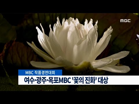[뉴스데스크]여수·광주·목포MBC '꽃의 진화' 대상 (151230수)