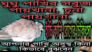 ঘুঘুর ঠান্ডা ও গা ফুলা রোগের চিকিৎসা