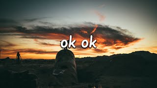 Video voorbeeld van "HOKO - OK OK (Lyrics)"