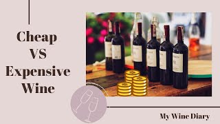 Cheap vs. Expensive Wine: Can You Taste the Difference? | Wine Education & Tasting Tips