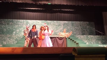 Jitterbug part 1 Normal West Wizard of Oz