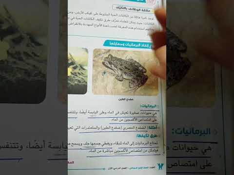 البرمائيات ضفدع الطين معلومات ع الماشى علوم الصف الرابع
