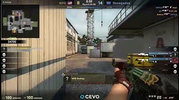 Brehze ACE vs Renegades