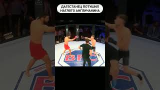 Дагестанец усыпил дерзкого англа! #shorts #mma #ufc #бой #бои #боибезправил