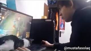 Oyunu Sabote Eden Kedi Antep Dublaj