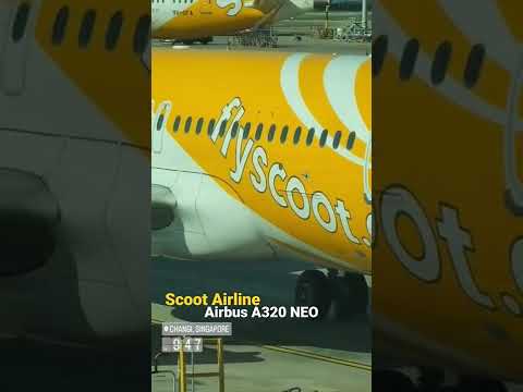 Scoot Airline Airbus A320 NEO 9V-TNB #airbus #a320neo #plane #scoot #flyscoot #changi #singapore