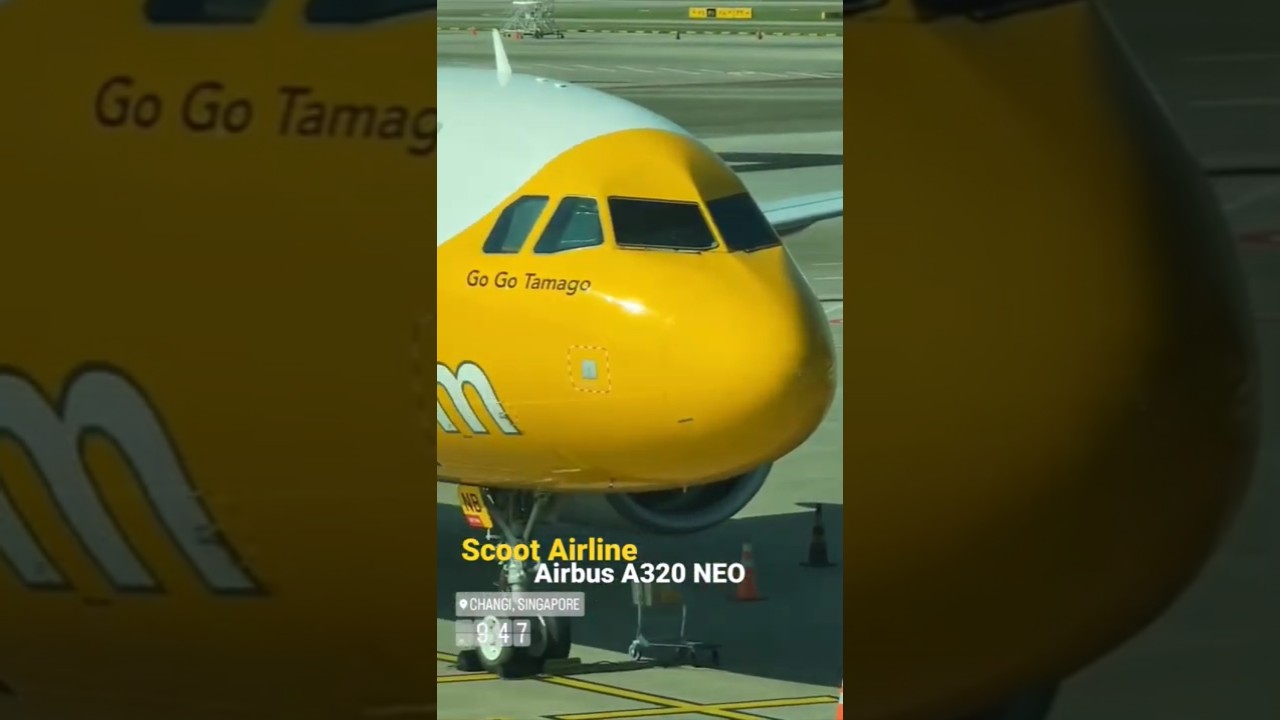 Scoot Airline Airbus A320 NEO 9V-TNB 