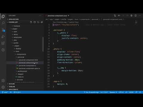 3. Angular Architecture:  How to work with the course?