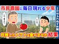 【ほっこりする話】市民農園をフェンス越しに見つめる痩せ細った少年にトマトを食べさせた結果【感動する話】