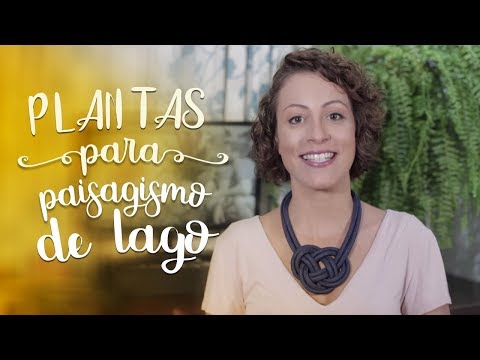 Vídeo: Plantas Para Lagoas