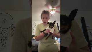 Everyone thought she was #taxidermy on #tiktok                    Find more on Tik tok @kayleestaton