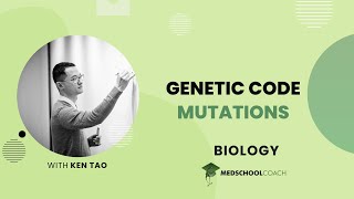 Celebrity Mutations Wealth