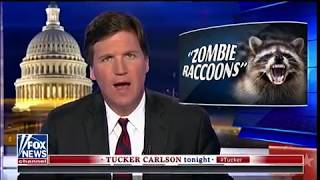 Zombie Raccoons - Fear In Ohio - Tucker Carlson