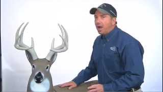 GlenDel 3D Target - Tom Miranda