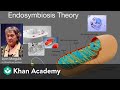 Unraveling Eukaryotic Cells: The Role of Chloroplasts and Mitochondria in Evolution