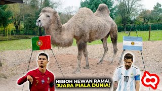 Prediksi Juara Dunia Dengan Akurat! Inilah Hewan Peramal Paling Terkenal di Piala Dunia