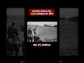 What the really saw in 1941