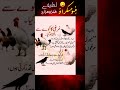 Щ Ш ШєЫЊ Щ Ш ШєШ Ш Щ Ш Ъ Щ Ш рџ Ј Funnyjokes Shorts Щ Ш ШєЫЊ Щ Ш ШєШ Ш Щ Ш Ъ Щ Ш рџ Ј Funnyjokes Shorts