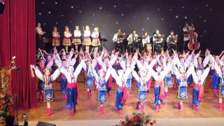 Викоутасики Гопак