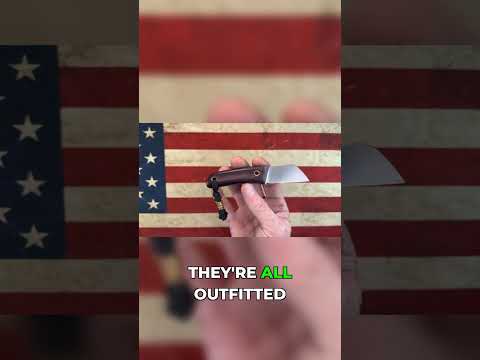 Lucky Dog BullDog: AEB-L Ram's Foot - A Cardboard Shredder!