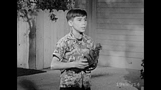 1958 - First Impressions - Johnny Crawford by 19king14 Film2Video Archiving 182 views 2 months ago 14 minutes, 22 seconds
