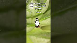Level 2 99% Will Fail This Duck Challenge Hard Mode