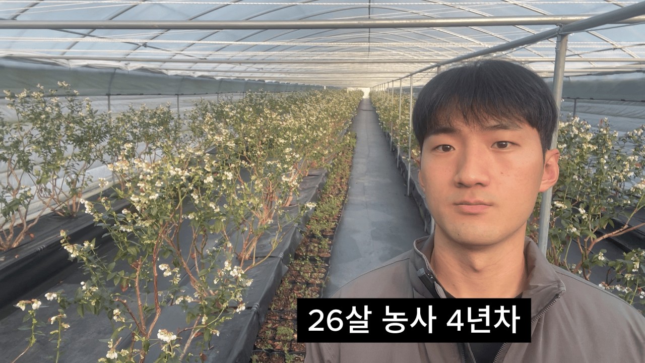 농사 4년차 26살 청년농부의 올해 예상 매출은??