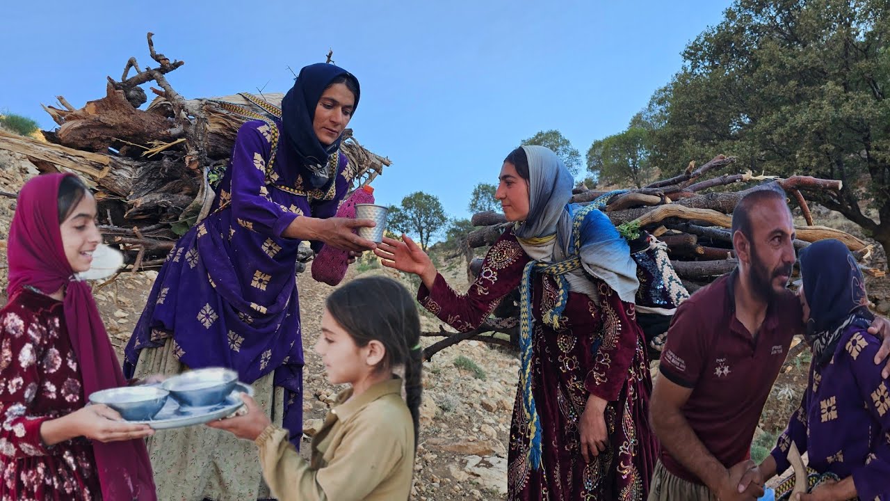 Nomadic Life: Leila meets Shaaban's family and collects firewood for ...