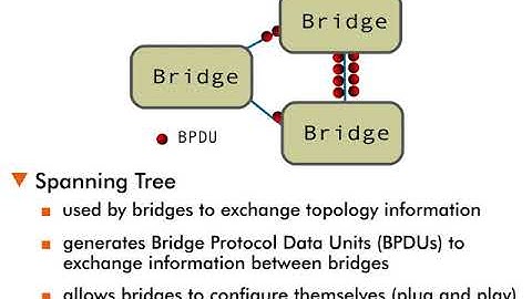 Spanning Tree Protocol - 5 : Spanning Tree