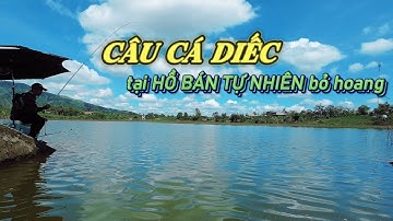 CÂU CÁ DIẾC tại HỒ BÁN TỰ NHIÊN BỎ HOANG LÂU NĂM !!!