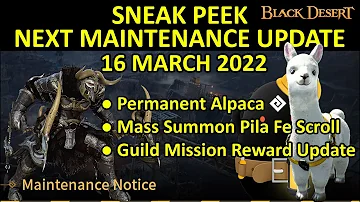 Permanent Alpaca, Mass Summon Method Pila Fe Scroll (Black Desert Online Sneak Peek, 16 March 2022)