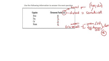 Q 1 page 9