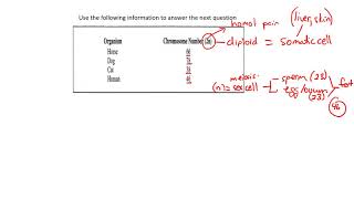 Q 1 page 9