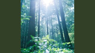 Download Lagu Selalu dikenang MP3