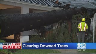 Tree clean-up continues in Sacramento