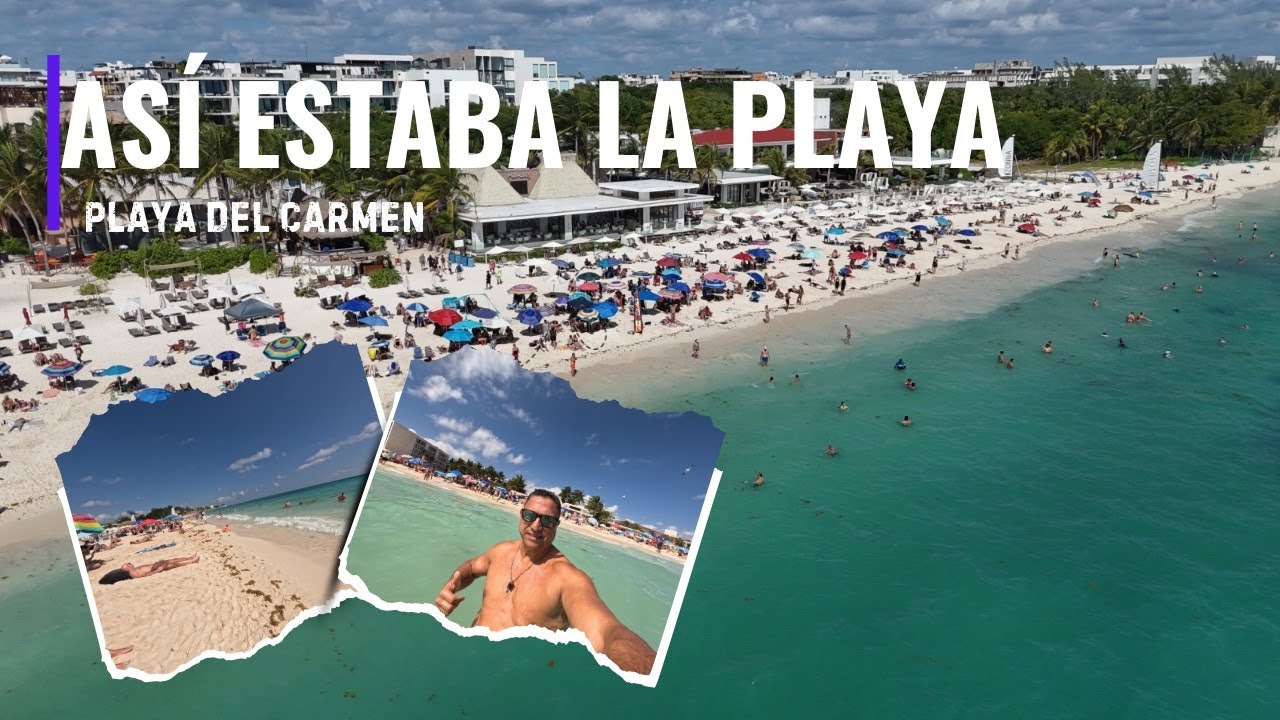 Sargazo en Playa Mamitas hoy 🌊 ¿Arruina el baño? Así estaba el mar | Playa del Carmen