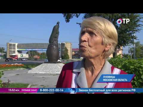 Малые города России: Луховицы - вторая по величине ферма Подмосковья