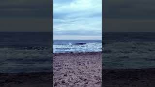 New York Unitad State Of America