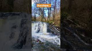 la beauté est le calme de la campagne... bercés par la musique de Howard Shore...Abonnez vous.