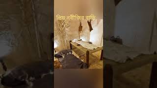 মা পাতেমার বাডি আর নবিজির বাডি আর আল্লাহর ঘর দেখে একবার আমিন বলবেন না ভাই ভিডিটা ভাইরাল করে দিন