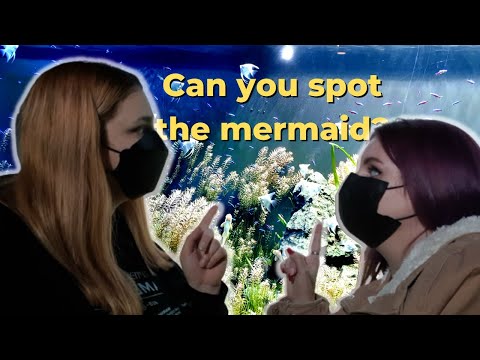 Aqua Planet at 63 Building | Special mermaid show [ V-log in Seoul ]