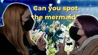 Aqua Planet at 63 Building | Special mermaid show [ V-log in Seoul ]