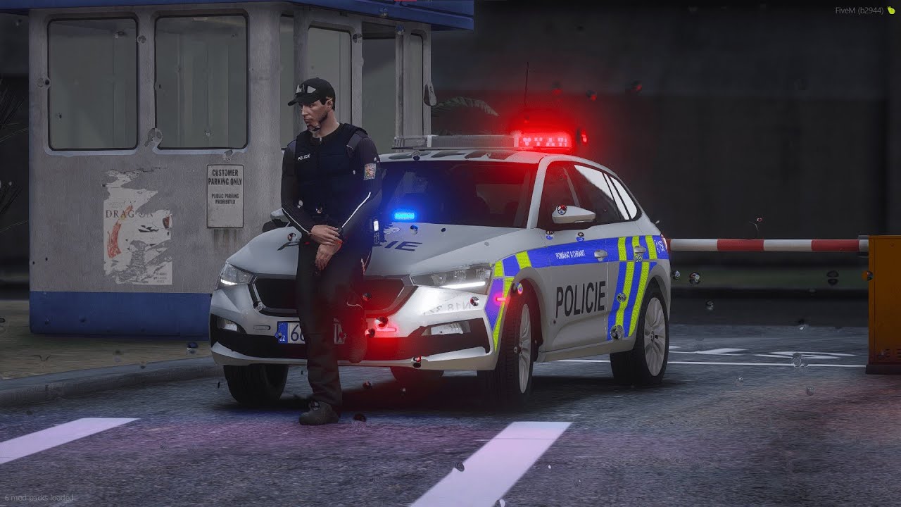 Obvodní oddělení POLICIE! | Puma 415 | CzechBlueLine | DOJRP © | Záznam ze streamu | #27