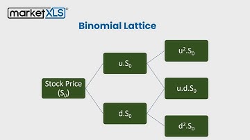 Unlock the Power of Binomial Option Pricing Model in Excel with MarketXLS