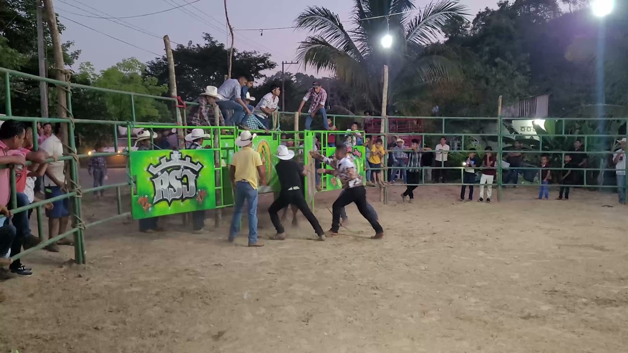 Fiesta Anual a Honor (Virgen Guadalupe) Potrerillo del Rincón 2021 PARTE 2