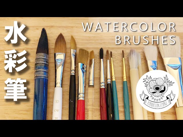 Art Supplies Introduction ②] Introducing watercolor brushes
