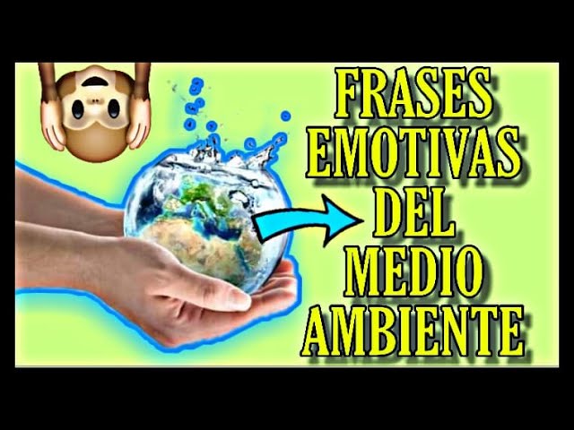 frases emotivas al cuidado del medio ambiente - YouTube